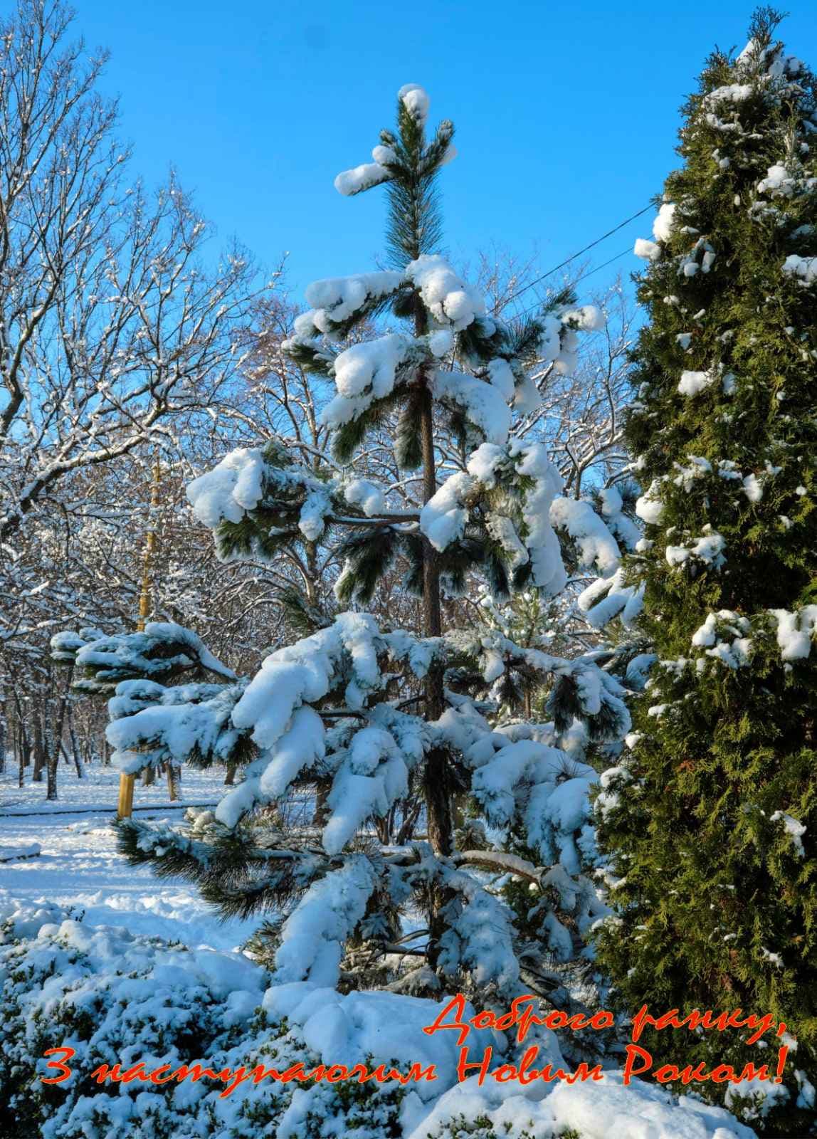 Winter in Kharkiv